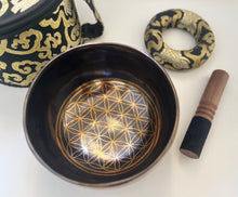 Load image into Gallery viewer, Singing Bowl with Carry Bag-Handmade Meditation bowl-16 cm